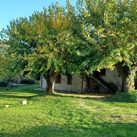 Agriturismo Canonici Amelia Extérieur photo