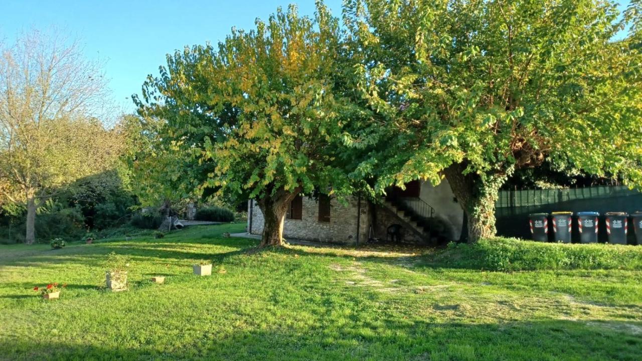 Agriturismo Canonici Amelia Extérieur photo